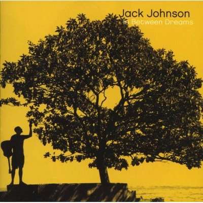 In Between Dreams (CD)