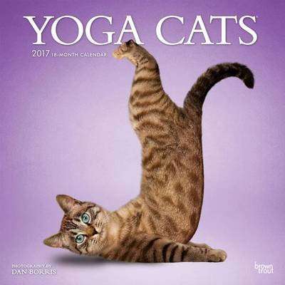 Yoga Cats (Calendar)