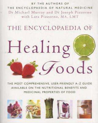 The Encyclopaedia of Healing Foods (Paperback)