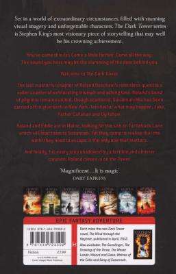 The Dark Tower (Paperback)