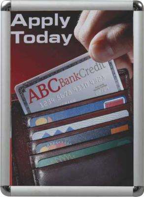 Parrot Chrome Corner Poster Frame (1250mm x 900mm)(A0)