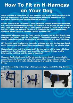 Rogz Alpinist Matterhorn Dog H-Harness - Medium 16mm (Black Rogz Design)