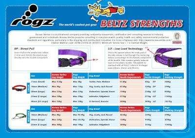 Rogz Utility Snake Obedience Half-Check Dog Collar - Medium 16mm (Turquoise Reflective)