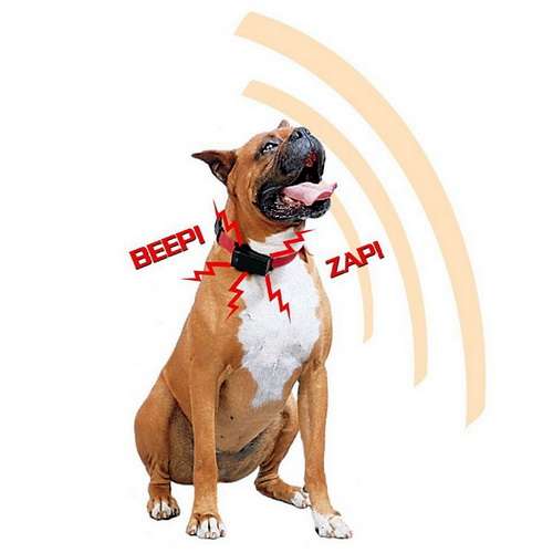 Advanced Progressive Anti No Bark Stop Static Shock Dog Collar Terminator 3