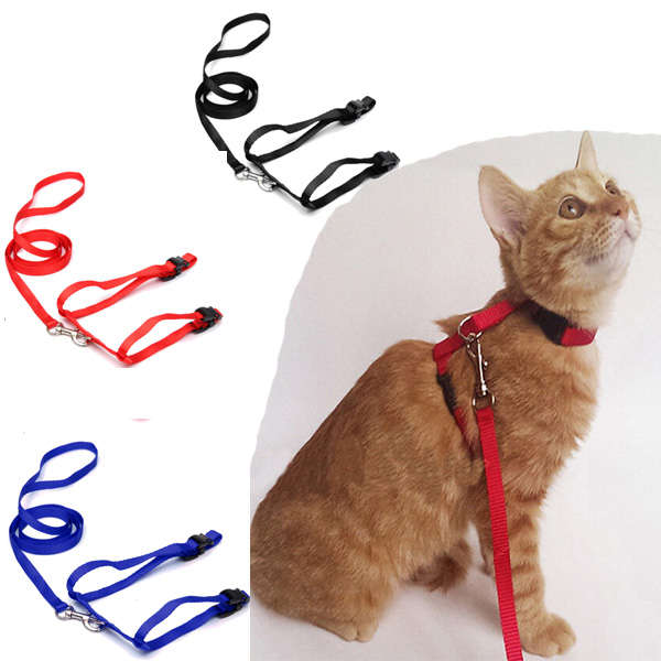 Pet Cat Kitten Adjustable Harness Nylon Collar Belt Lead Leash