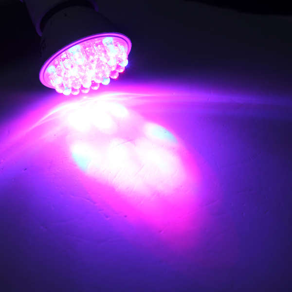 E27 1.9W 38 LED Grow Light Plant Lamp Hydroponic AC 110/220V