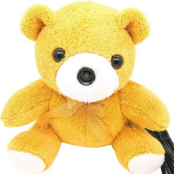 Bear Cartoon Plush Doll Webcam With Microphone For PC