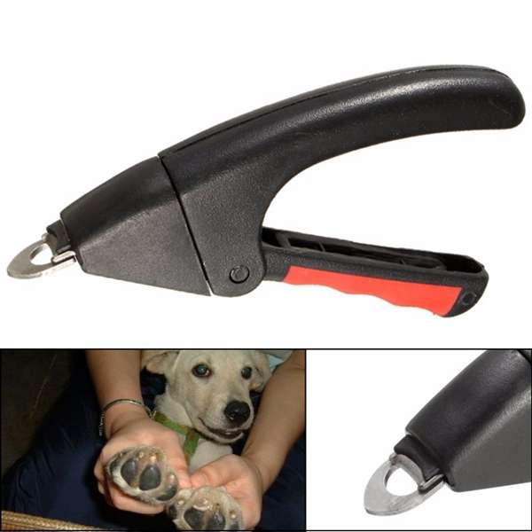 Stainless Steel Pet Dog Nail Toe Claw Clipper Trimmer Scissors Cutter Grooming