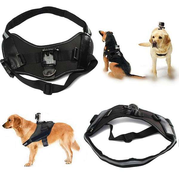 Universal Pet Dog Fetch Chest Harness Strap Belt For GoPro Hero 4 3 2 3 Plus SJ