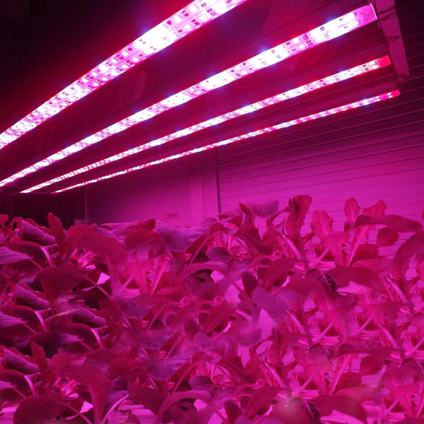 370mm 8.64W Waterproof High Power 8LED Tube Strip Grow Light Lamp