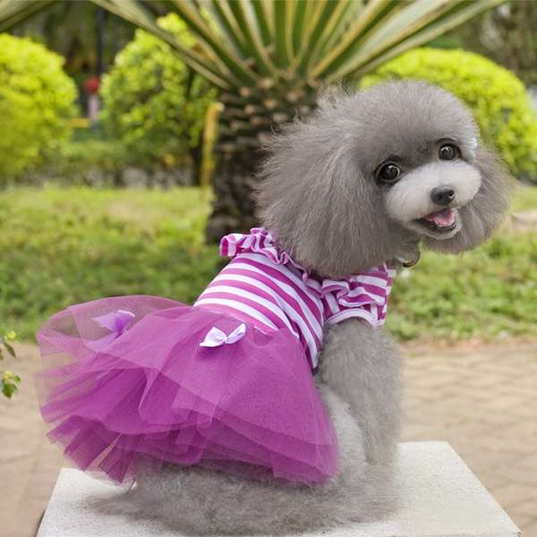 Summer Dog Puppy Dress Lace Skirt Stripe Princess Dress Clothes