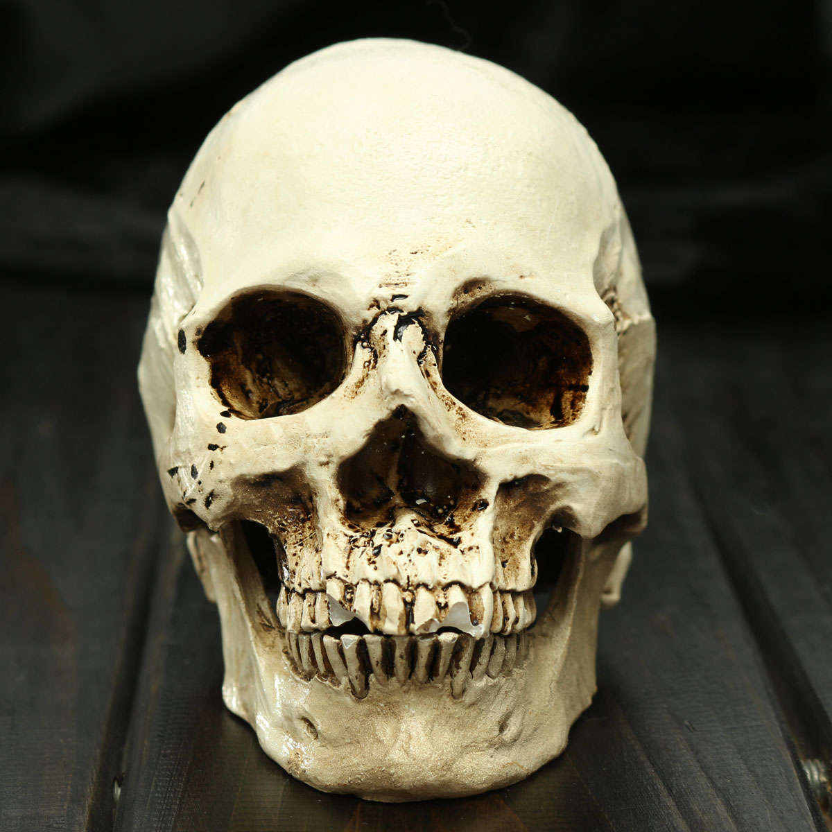 Halloween Small Human Skull Replica Scary Horrible Halloween Decoration