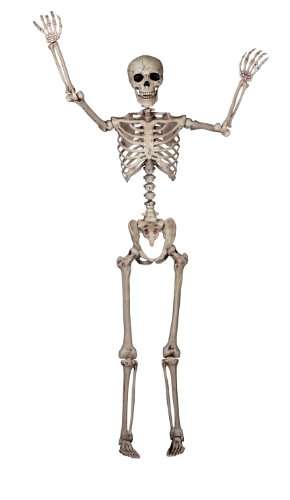 Seasons Pose-N-Stay Skeleton