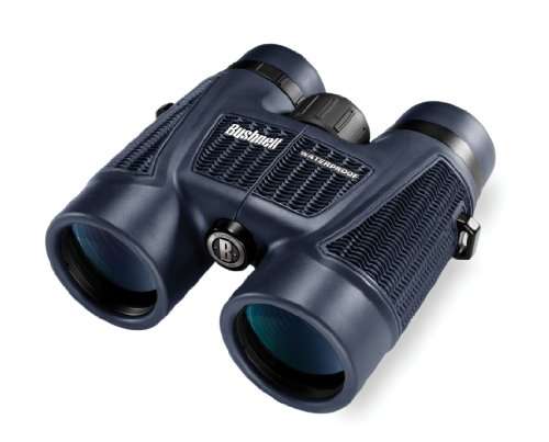 Bushnell H2O Waterproof/Fogproof Roof Prism Binocular, 8 x 42-mm, Black
