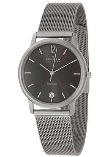Skagen Denmark Mens Watch Matte Titanium Mesh #O170LTTMM1