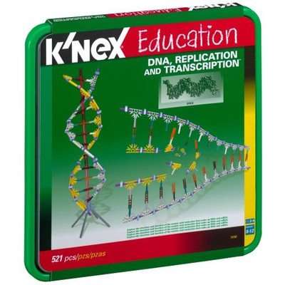 K'NEX Education - DNA, Replications and Transcription Set