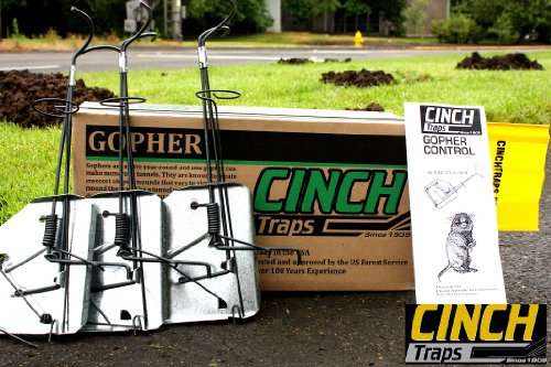 Gopher Kit Trap: Three Gopher Traps With Mole Tunnel Flags and Instructions - By Cinch Traps - Made