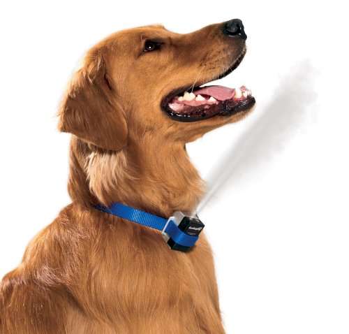 PetSafe Gentle Spray Anti-Bark Collar