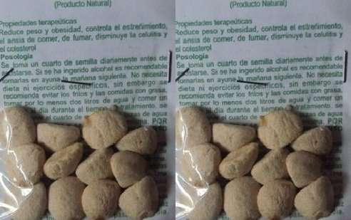 Nuez de La India 2 Packs (24 seeds)