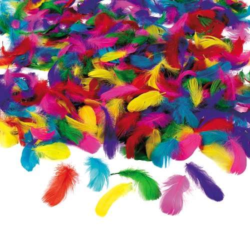 Fun Express Feather Assortment Model Kit (600 Piece)