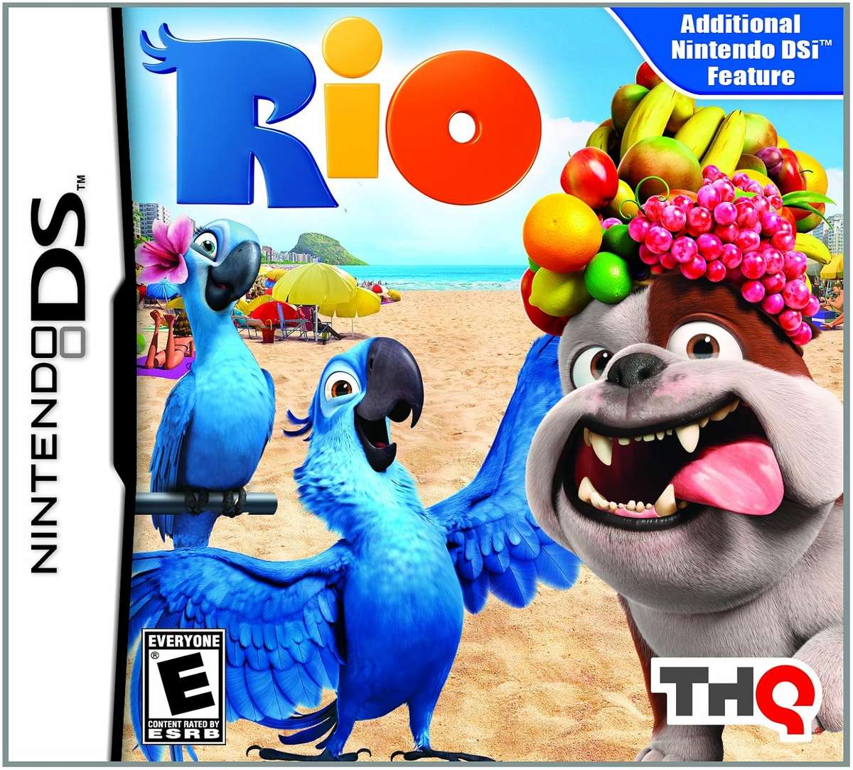 Rio Nintendo DS