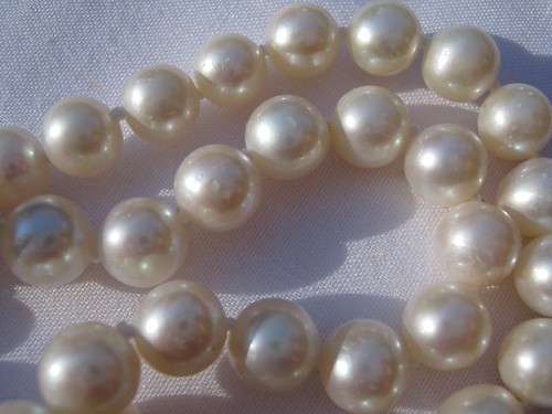 WHITE, Round, Freshwater Pearl Necklace - 6 to 7 mm