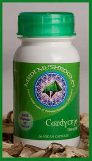 Medi Mushrooms Cordyceps