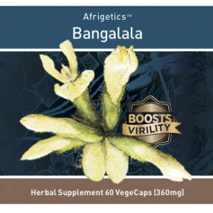 Afrigetics Bangalala