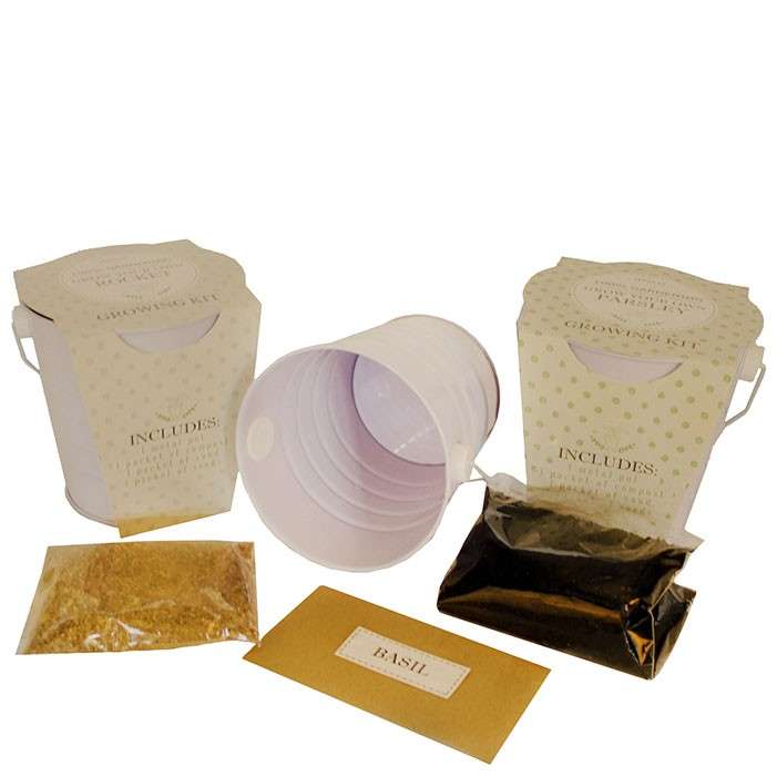 Tatty Teddy - Buggy Squeaker - Boy