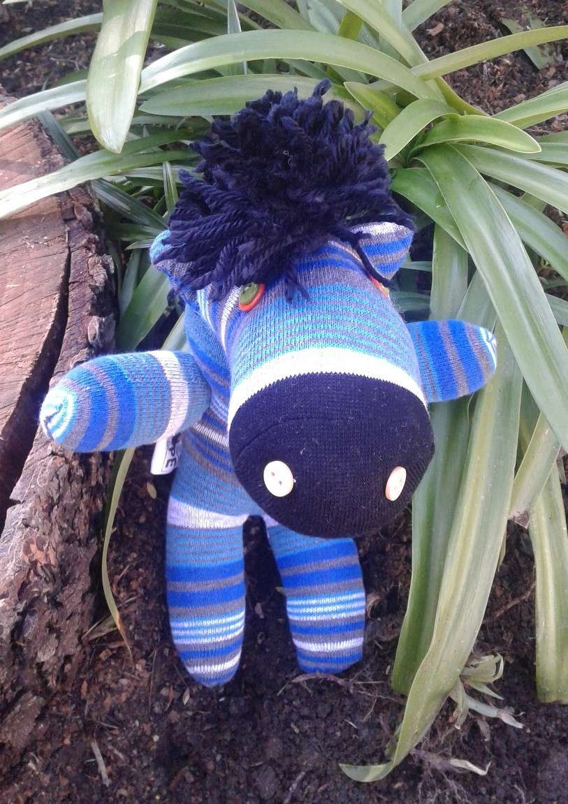 Magic Facecloth - Sofia the First (Each)