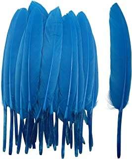 Jenam Bunny - Stickers