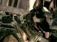 Call Of Duty Ghosts Hardened Edition (PC) - PC, PC DVD First-Person Shooter 18