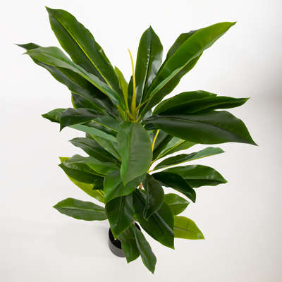 HouzeComfort Artificial Dracaena Houseplant and Pot Plant 125cm