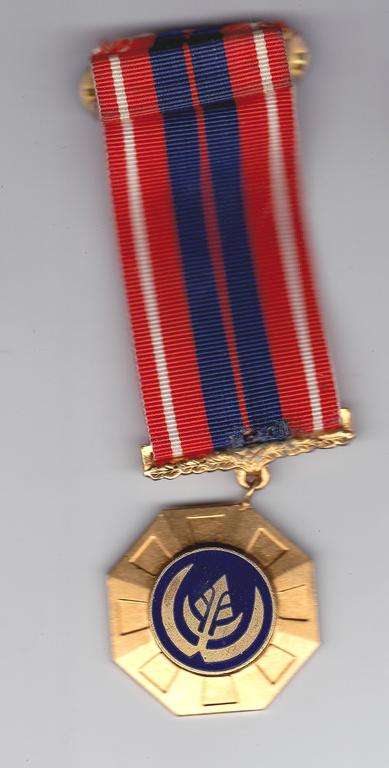 PROPATRIA LINK SUSPENDER AND RIBBON # 29187