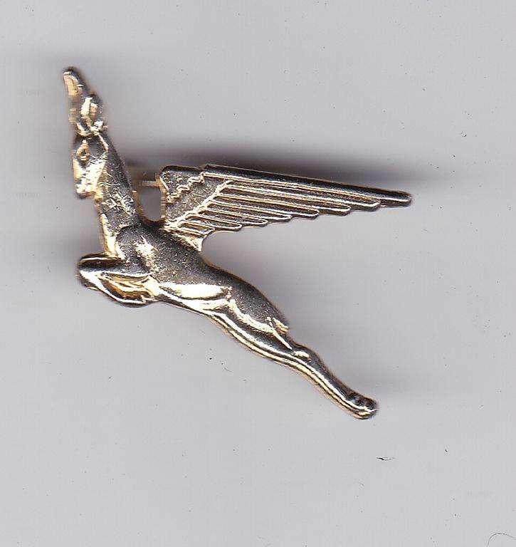 SAA FLYING SPRINGBOK BADGE PIN