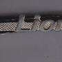 LIONS TIE CLIP