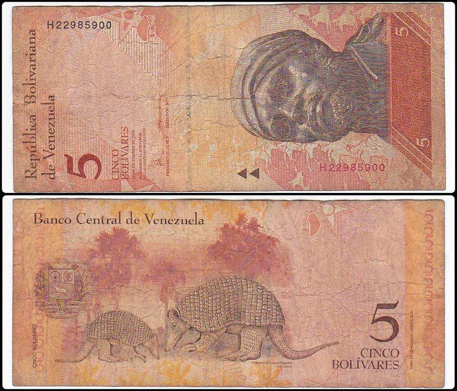 VENEZUELA 5 BOLIVARES 2008 ARMADILLO