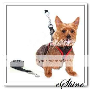 Small Comfy Control Dog Harness Leash