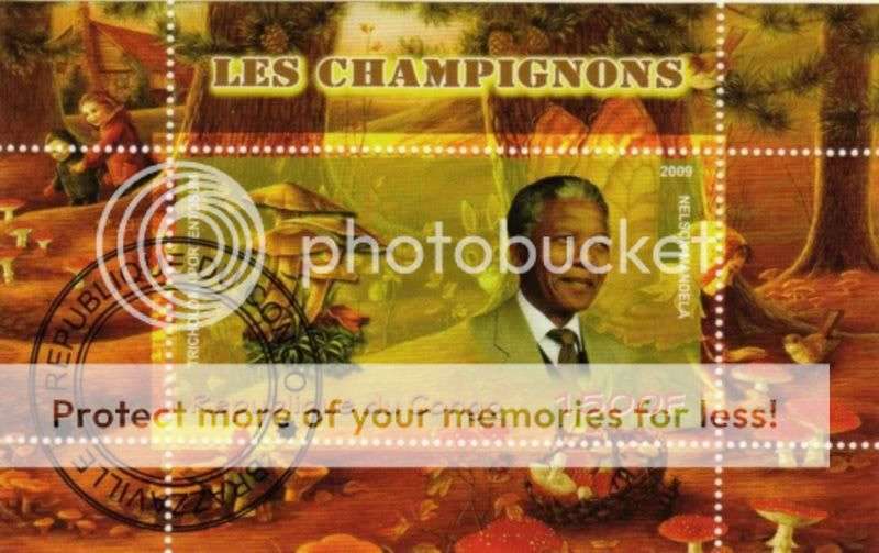 Congo - 2009 - N.Mandela - Mushrooms
