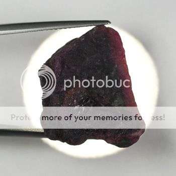 HUGE Rough uncut 40.29 ct  Ruby- A must have !
