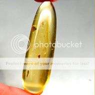 Exquisite! 12.43 Ct Natural  Amber Cabochon ( many insects inside!!) - A must have!