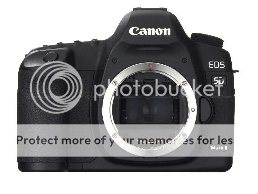 21 Megapixels Canon EOS 5D Mark II 21MP Full Frame CMOS Digital SLR Camera (Body)