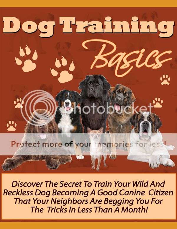 Dog training basics - Ebook