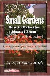 Small Garden - Ebook