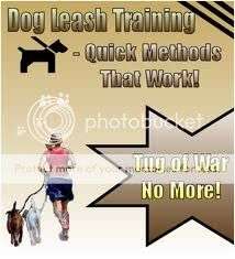 Dog leash training - Ebook (Free download)