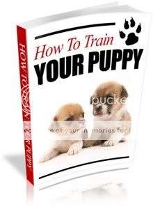 How to Train Your Puppy? - Ebook