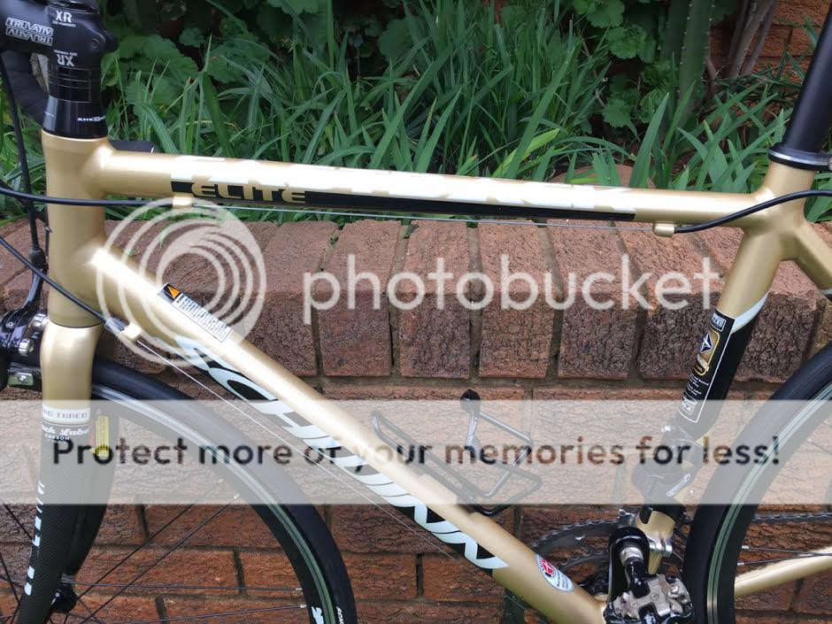 Schwinn Fastback Elite Women's Bicycle