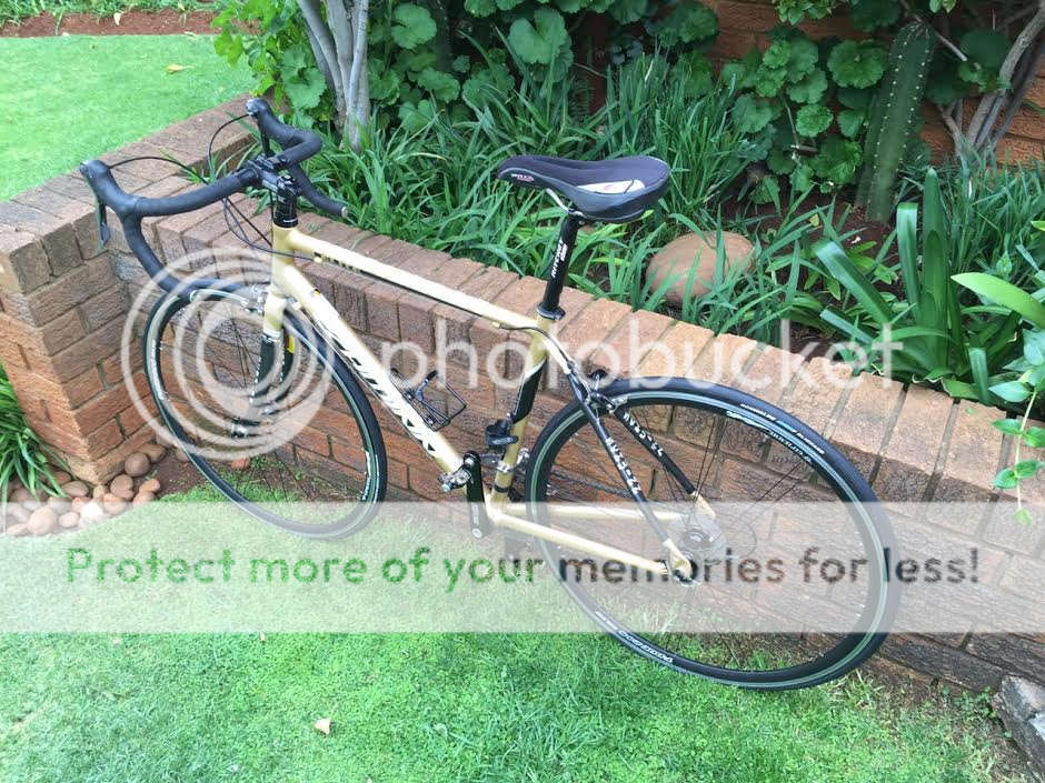 Schwinn Fastback Elite Women's Bicycle