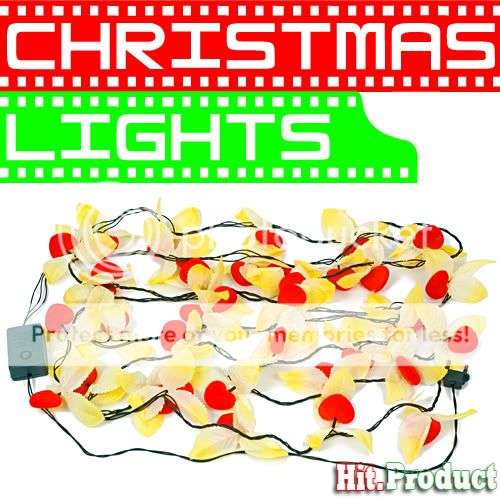 H803 Sparkle Christmas Flash Light HEART Length 12ft
