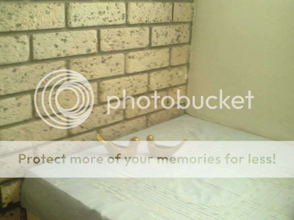 TWO BEAUTIFUL BRASS DOVES